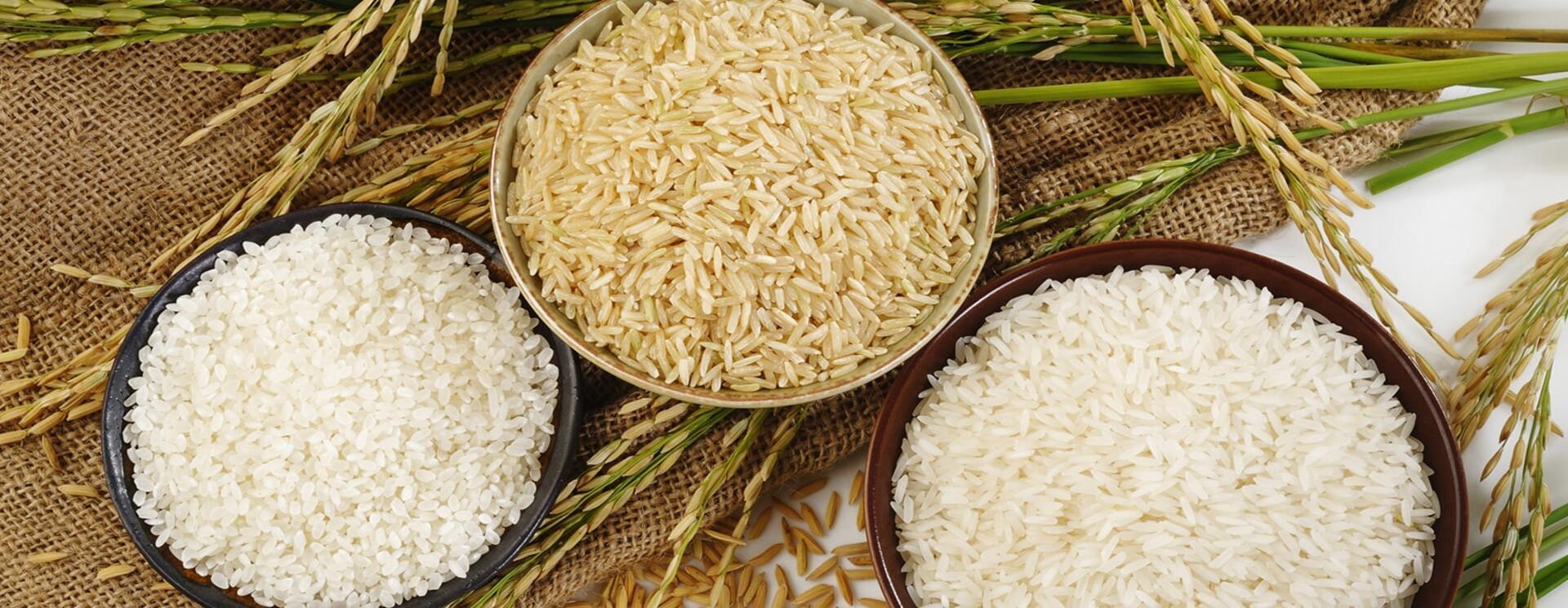 Rice
